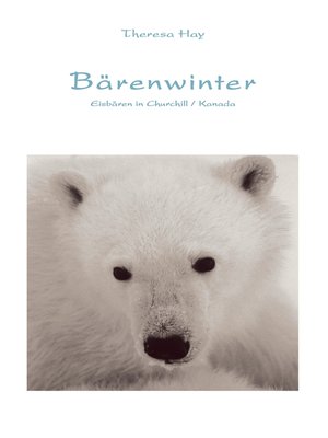 cover image of Bärenwinter